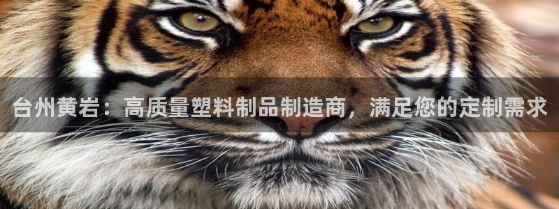 太阳成下载：台州黄岩：高质量塑料制品制造商，满足您的定制需求
