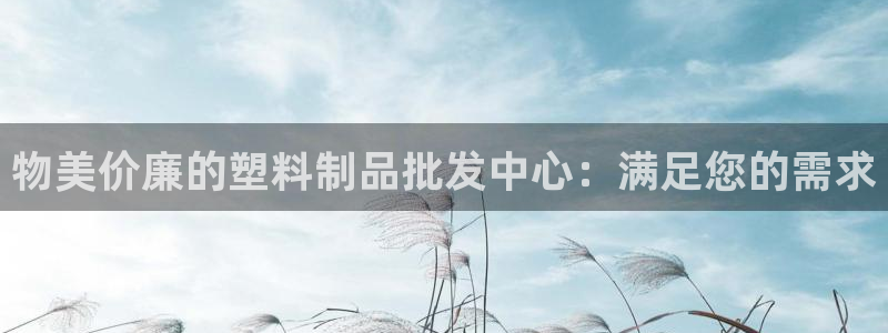 太阳集团app：物美价廉的塑料制品批发中心：满足您的需求