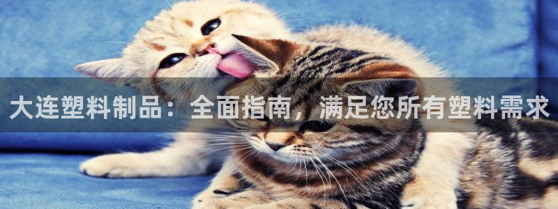 曲靖红太阳集团：大连塑料制品：全面指南，满足您所有塑料需求