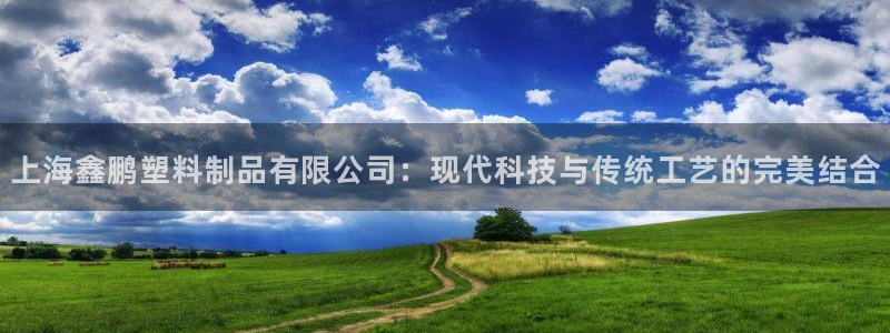 澳门太阳游戏城：上海鑫鹏塑料制品有限公司：现代科技与传统工艺