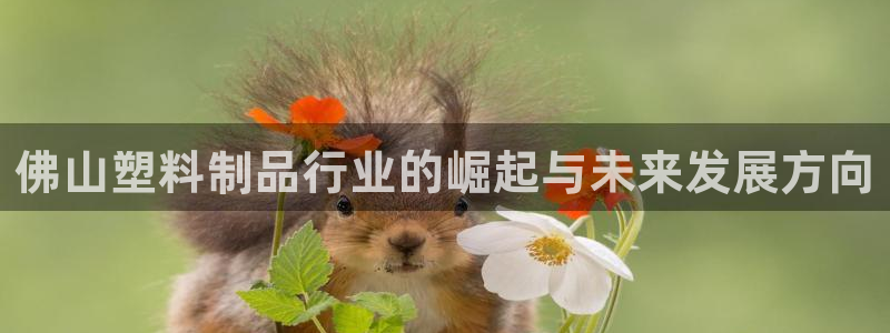 太阳gg注册/登录：佛山塑料制品行业的崛起与未来发展方向