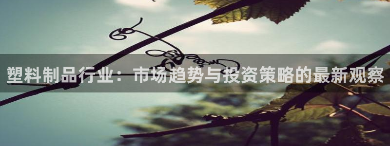 太阳app网页版：塑料制品行业：市场趋势与投资策略的最新观察