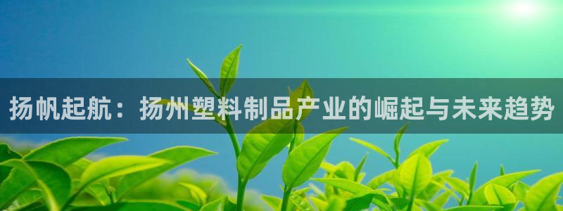 太阳阳城集团太阳卡：扬帆起航：扬州塑料制品产业的崛起与未来趋