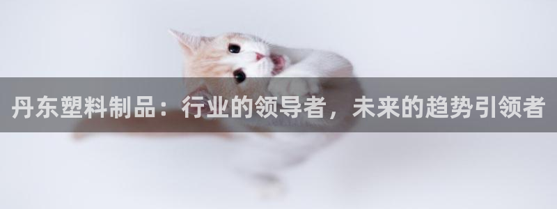太阳集团手机app下载：丹东塑料制品：行业的领导者，未来的趋