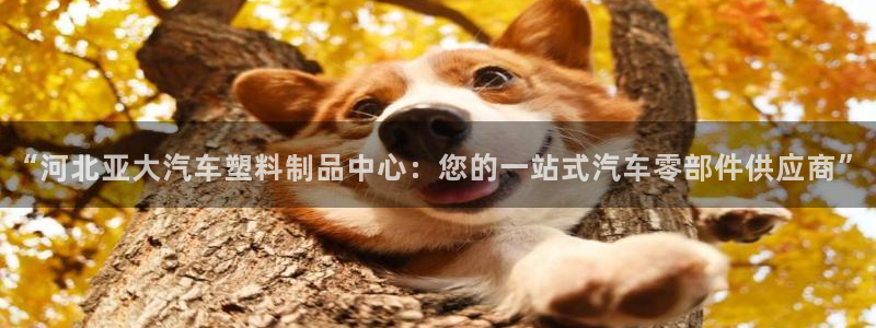 古天乐代言太阳网址：“河北亚大汽车塑料制品中心：您的一站式汽