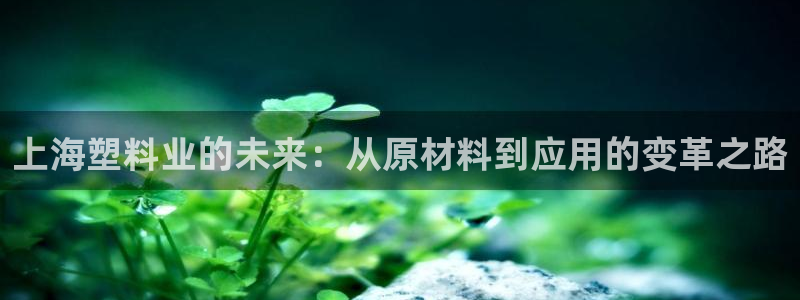 太阳集团旗下品牌：上海塑料业的未来：从原材料到应用的变革之路