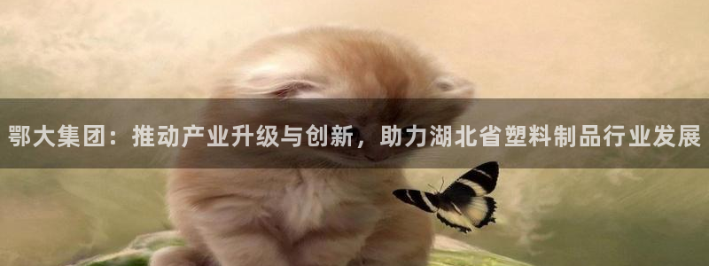 太阳集团在国内三个分公司：鄂大集团：推动产业升级与创新，助力
