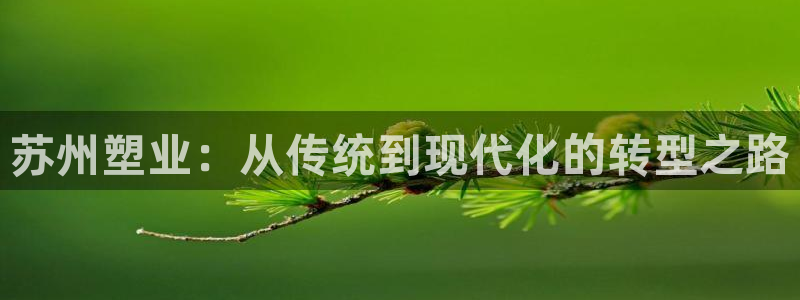 太阳诚集团有限公司是国企吗还是央企：苏州塑业：从传统到现代化