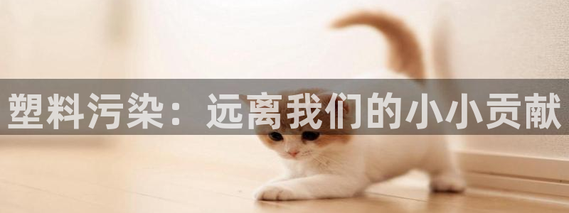 太阳集团游戏官方网址8827：塑料污染：远离我们的小小贡献