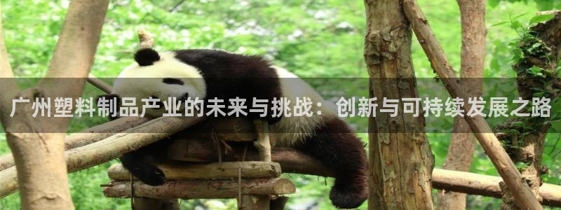 太阳gg官网登录：广州塑料制品产业的未来与挑战：创新与可持续