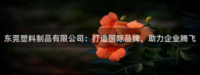 太阳成集团tyc3345：东莞塑料制品有限公司：打造国际品牌