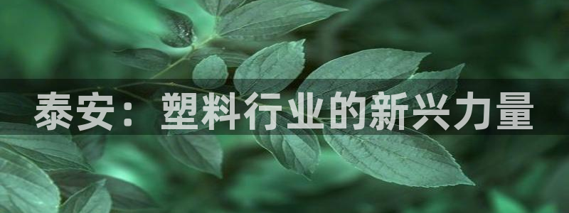 太阳神电子游戏平台：泰安：塑料行业的新兴力量