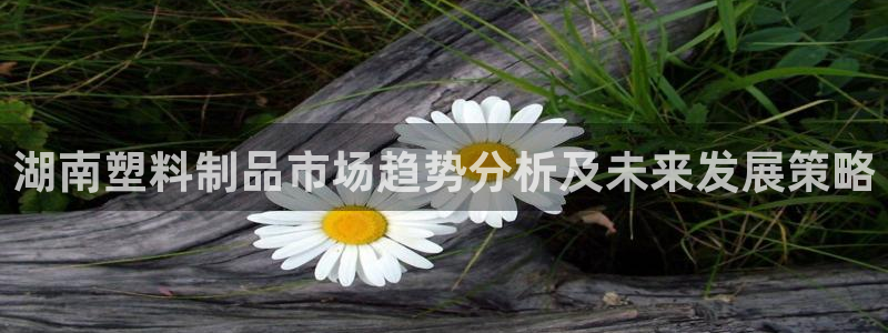 太阳成集团tyc234cc[主页]网址：湖南塑料制品市场趋势