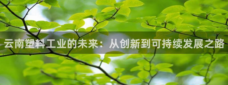 太阳成集团tyc122ccvlp：云南塑料工业的未来：从创新