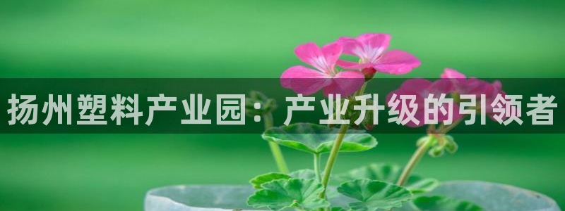 太阳集团电子游戏宙斯：扬州塑料产业园：产业升级的引领者