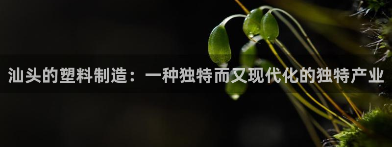 太阳app下载安装：汕头的塑料制造：一种独特而又现代化的独特