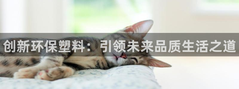 suncitygroup太阳集团：创新环保塑料：引领未来品质