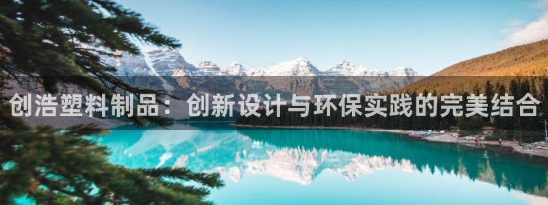 太阳诚集团是什么：创浩塑料制品：创新设计与环保实践的完美结合
