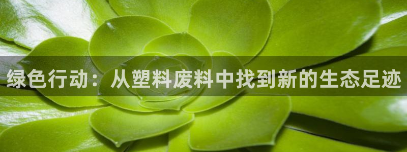 太阳集团2018登录网址：绿色行动：从塑料废料中找到新的生态