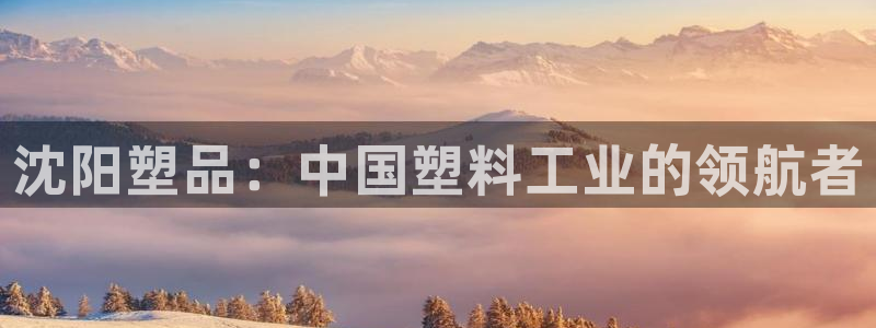 太阳集团的法人代表：沈阳塑品：中国塑料工业的领航者