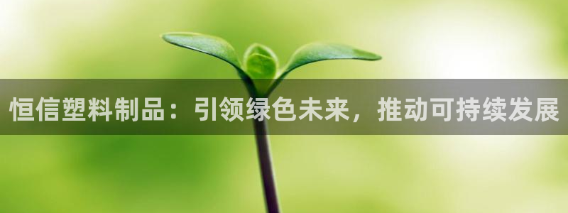 太阳集团网址：恒信塑料制品：引领绿色未来，推动可持续发展