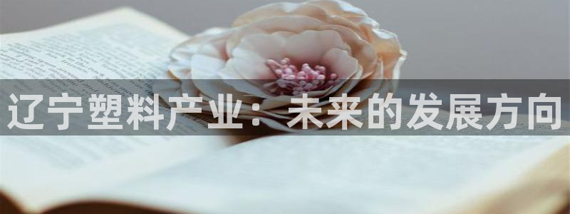 太阳成集团tyc234cc振兴：辽宁塑料产业：未来的发展方向