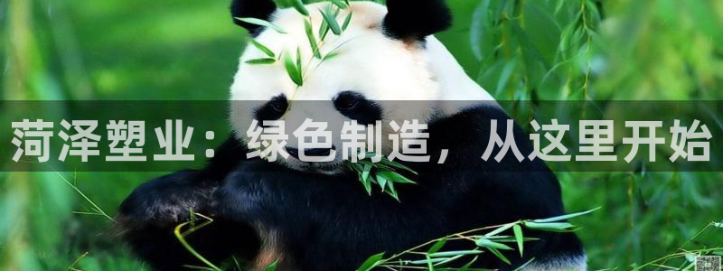 太阳集团股份有限公司是国企吗：菏泽塑业：绿色制造，从这里开始