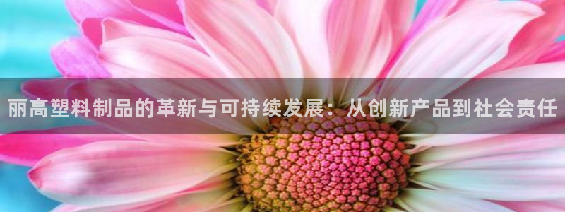 太阳集团网站：丽高塑料制品的革新与可持续发展：从创新产品到社