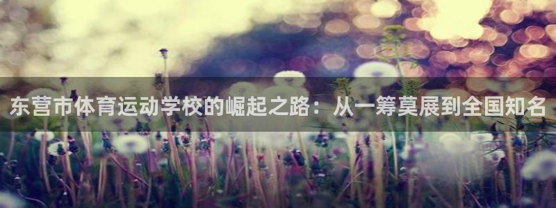 熊猫体育怎么样：东营市体育运动学校的崛起之路：从一筹莫展到全国知名