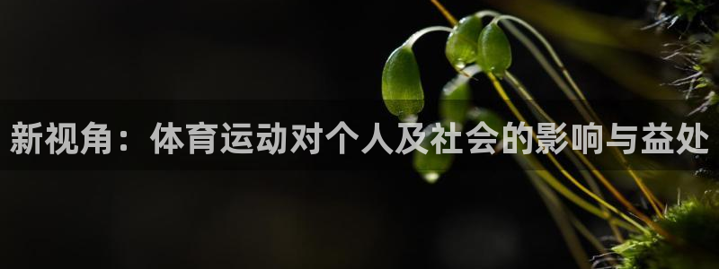 熊猫体育怎么样：新视角：体育运动对个人及社会的影响与益处