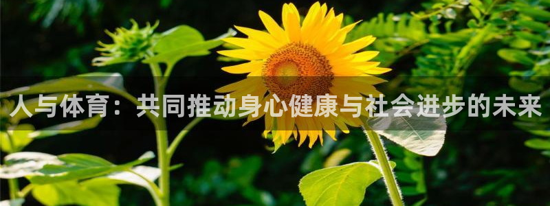 熊猫体育平台：人与体育：共同推动身心健康与社会进步的未来