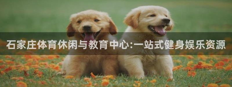 熊猫体育怎么样：石家庄体育休闲与教育中心:一站式健身娱乐资源