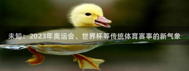 成都熊猫体育公园：未知：2023年奥运会、世界杯等传统体育赛事的新气象