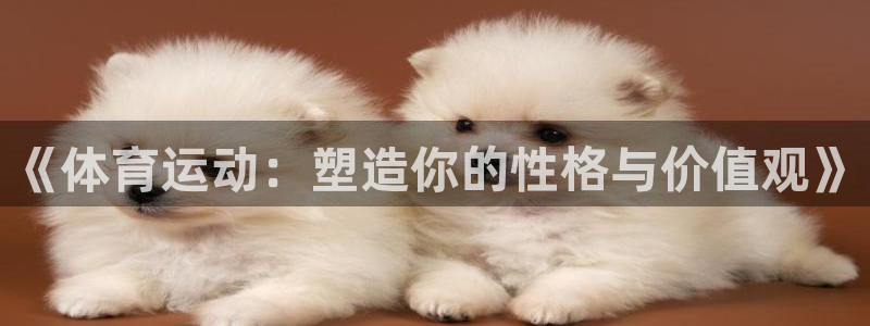熊猫体育公园：《体育运动：塑造你的性格与价值观》