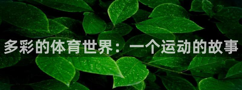 成都熊猫体育公园：多彩的体育世界：一个运动的故事