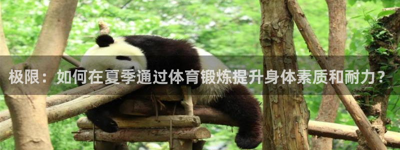 动感熊猫体育公园：极限：如何在夏季通过体育锻炼提升身体素质和耐力？