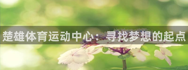 熊猫体育公园：楚雄体育运动中心：寻找梦想的起点