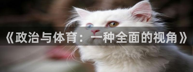 熊猫体育网址：《政治与体育：一种全面的视角》