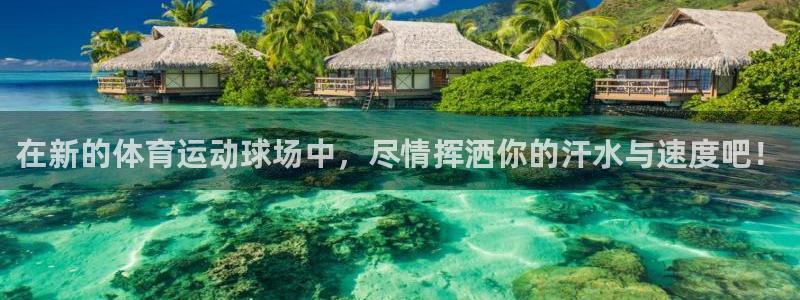 熊猫体育app下载安装：在新的体育运动球场中，尽情挥洒你的汗水与速度吧！