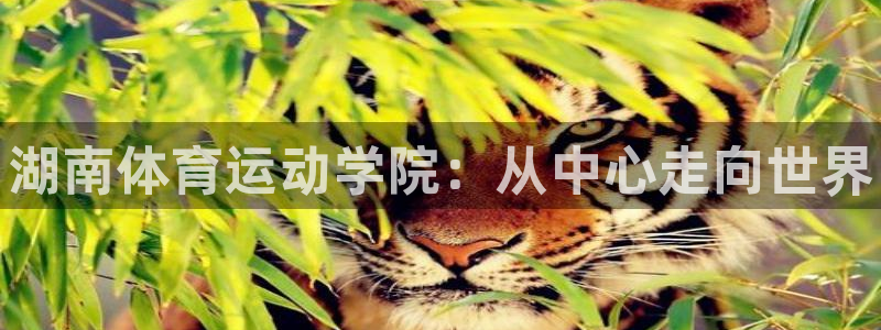 中山熊猫体育：湖南体育运动学院：从中心走向世界
