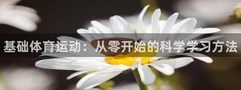 熊猫体育手机版下载：基础体育运动：从零开始的科学学习方法