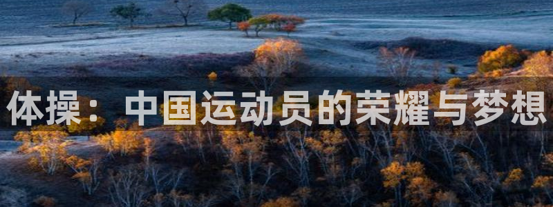 熊猫体育网站