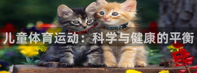 熊猫体育sports