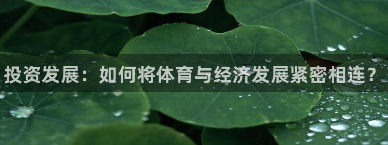 熊猫体育