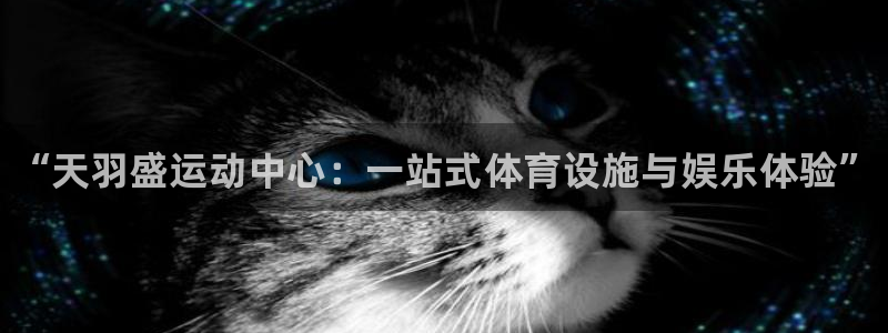 熊猫体育文化有限公司