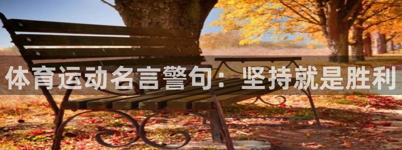 熊猫体育比赛直播