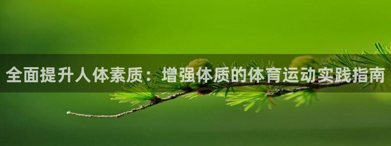 熊猫体育v3.新网页.org