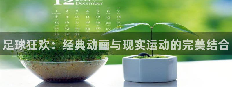 熊猫体育怎么样