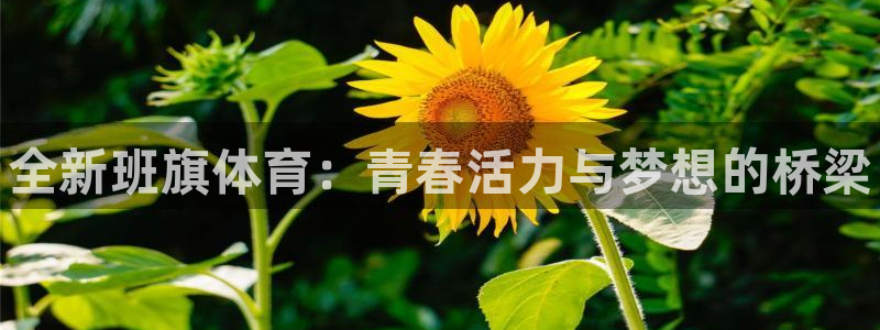 熊猫体育sports