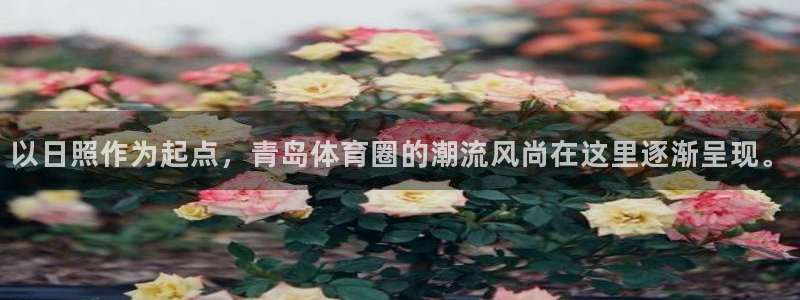 熊猫体育v3.新网页.org